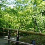 北野天満宮の七不思議、その6とその7。(The Seven Wonders of Kitano Tenman-gu Shrine, Part 6&7)