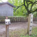 京都御苑…近衛家の糸桜