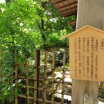 梨木神社その2…京の名水と萩