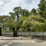 醍醐寺1…圧巻の庭園